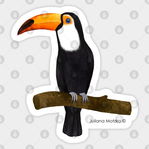 Toucan Sticker by julianamotzko